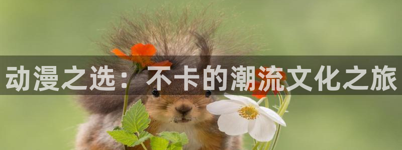 age动漫下载安装